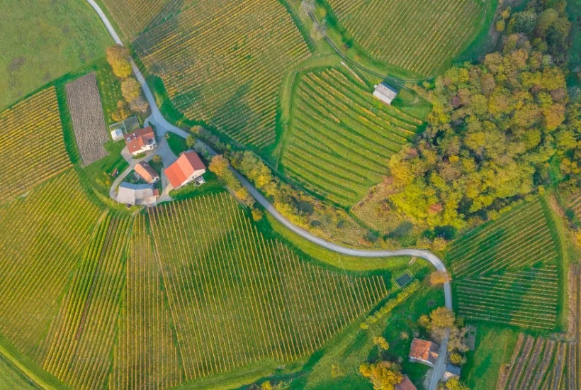 Buying Land in Plovdiv – Mistakes, Risks and How to Choose the Right Plot